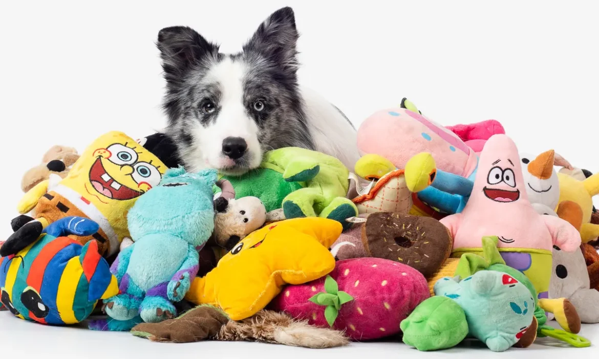 Best DOG TOYS in 2024