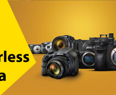 Best Mirrorless Camera 2024