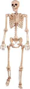 Crazy Bonez Skeleton
