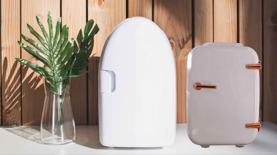   Best Mini Fridges for Every Budget in 2023