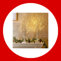 2FT Birch Tree with LED Lights