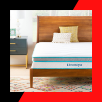 Linenspa 10 Inch Memory Foam Hybrid mattress 
