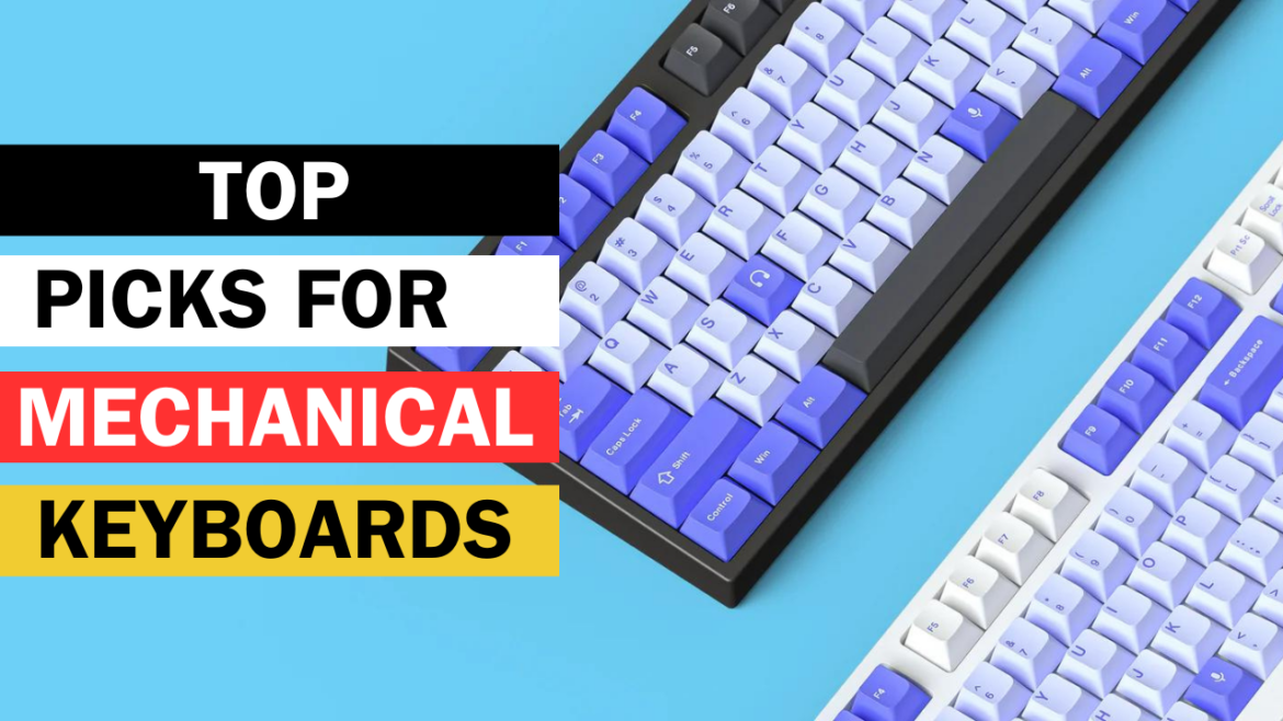 Top Picks for Mechanical Keyboards 2024